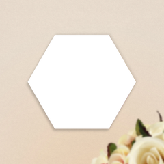 Acrylic Hexagon Photo Print